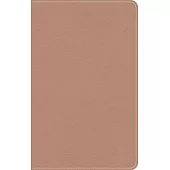 KJV On-The-Go Bible, Personal Size, Personal Size, Rose Gold Leathertouch