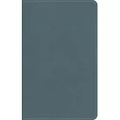 KJV On-The-Go Bible, Personal Size, Steel Blue Leathertouch