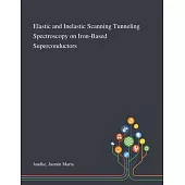 Elastic and Inelastic Scanning Tunneling Spectroscopy on Iron-Based Superconductors