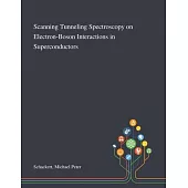 Scanning Tunneling Spectroscopy on Electron-Boson Interactions in Superconductors