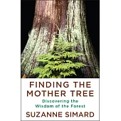 Finding the Mother Tree: Discovering the Wisdom of the Forest