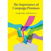 The Importance of Campaign Promises