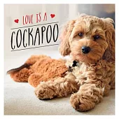 Love Is a Cockapoo: A Dog-Tastic Celebration of the World’’s Cutest Breed