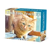 What Cats Teach Us 2022 Box Calendar