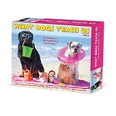 What Dogs Teach Us 2022 Box Calendar