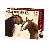 What Horses Teach Us 2022 Box Calendar