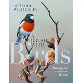 A Brush with Birds: Paintings and Stories from the Wild