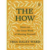 The How: Notes on the Great Work of Meeting Yourself