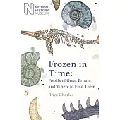 Frozen in Time: Fossils of Great Britain and Where to Find Them