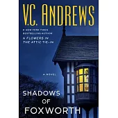 Shadows of Foxworth, 11