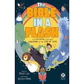 The Bible in a Flash: A Lightning Tour from Creation to the End of Time