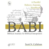 Biblical Aramaic for Biblical Interpreters: A Parallel Hebrew-Aramaic Handbook