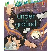 偷偷看一下翻翻書：地下世界（3歲以上）Peep Inside Under the Ground