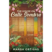 The House on Calle Sombra - A Parable