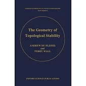 The Geometry of Topological Stability