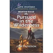 Pursued in the Wilderness