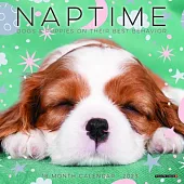 Naptime (Dogs) 2023 Mini Wall Calendar