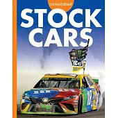 Curious about Stock Cars
