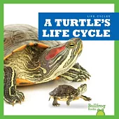 A Turtle’s Life Cycle