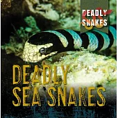 Deadly Sea Snakes