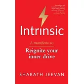 Intrinsic: A Manifesto to Reignite Your Inner Drive