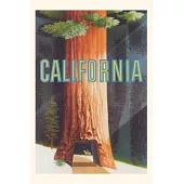 Vintage Journal Stylized California Sequoia