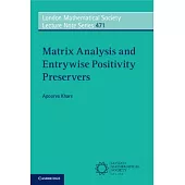 Matrix Analysis and Entrywise Positivity Preservers