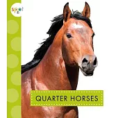 Quarter Horses