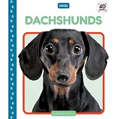 Dachshunds