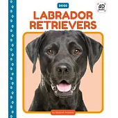Labrador Retrievers