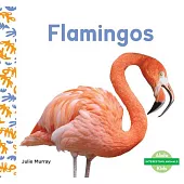 Flamingos
