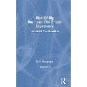 The Rise of Big Business