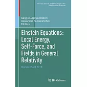 Einstein Equations: Local Energy, Self-Force, and Fields in General Relativity: Domoschool 2019