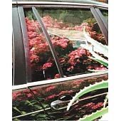 Aaron Stern: Ghost Rider: Los Angeles Photographs