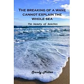 The breaking of a wave cannot explain the whole sea: The beauty of beaches