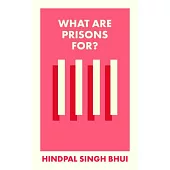 What Are Prisons For?