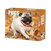 Pugs 2024 6.2 X 5.4 Box Calendar