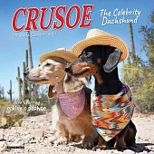 Crusoe the Celebrity Dachshund 2024 7 X 7 Mini Wall Calendar