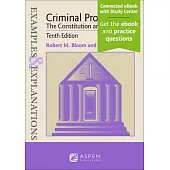 Examples & Explanations for Criminal Procedure: The Constitution and the Police