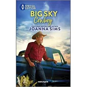 Big Sky Cowboy