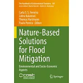 Nature-Based Solutions for Flood Mitigation: Environmental and Socio-Economic Aspects