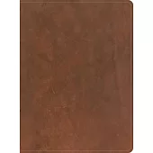 CSB Men’s Daily Bible, Brown Genuine Leather, Indexed