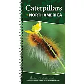 Caterpillars of North America: Easily Identify 90 Common Butterflies and Moths