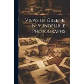 Views of Greene, N. Y. Indelible Photographs