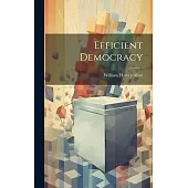 Efficient Democracy