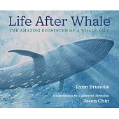 Life After Whale: The Amazing Ecosystem of a Whale Fall