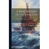 A Brief History Of Natural Gas: Its Advantages, Use, Supply, And Economy As A Fuel To Manufacturers