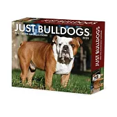 Bulldogs 2025 6.2 X 5.4 Box Calendar