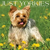 Just Yorkies 2025 12 X 12 Wall Calendar