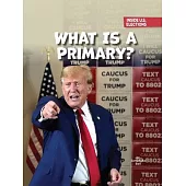 What Is a Primary?